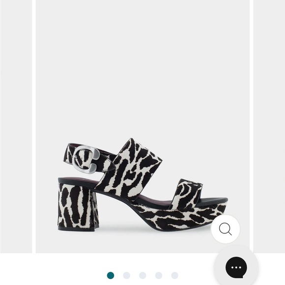 Aerosoles Zebra Camera - Picture 1 of 1